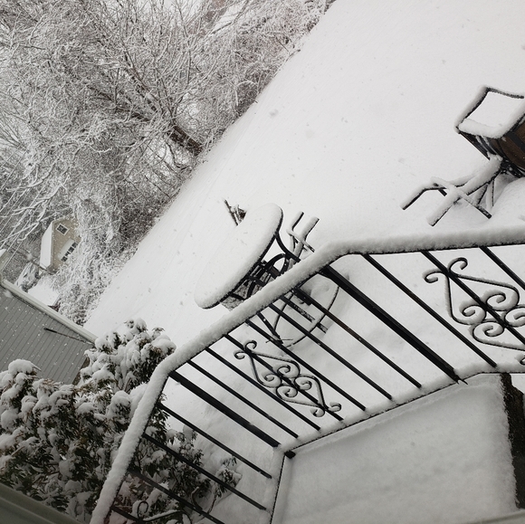 Snow - Picture 3 of 7